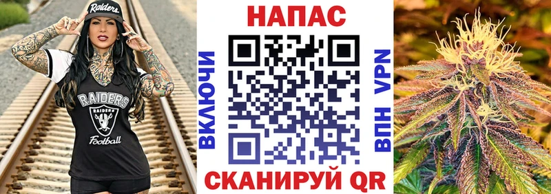 купить  сайты  Алзамай  Бошки Шишки ГИДРОПОН 